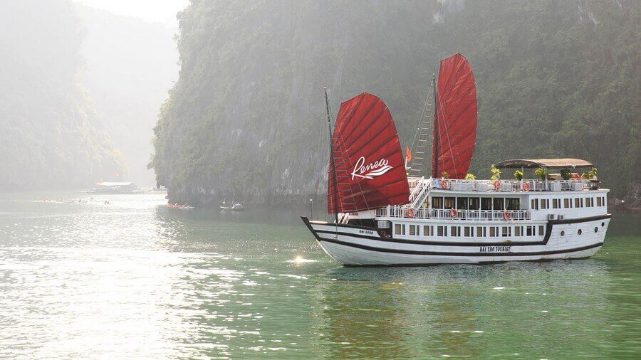 Bai Tu Long bay cruise 2 days 1 night with Renea Cruise