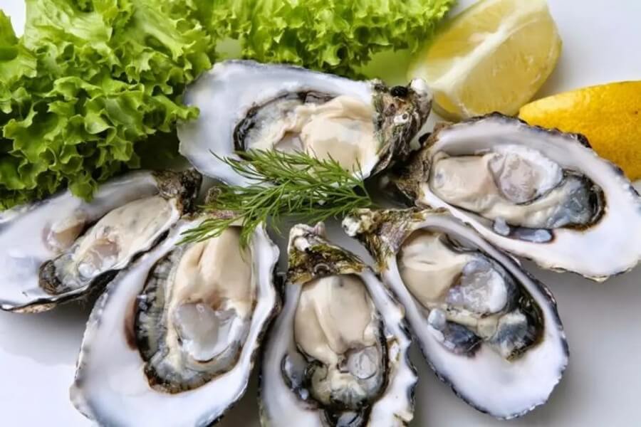 Oysters